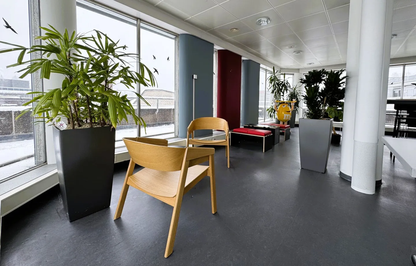 Travailler au-dessus des toits de Saint-Gall : bureau de 231 m² avec terrasse - Photo 7 sur 12