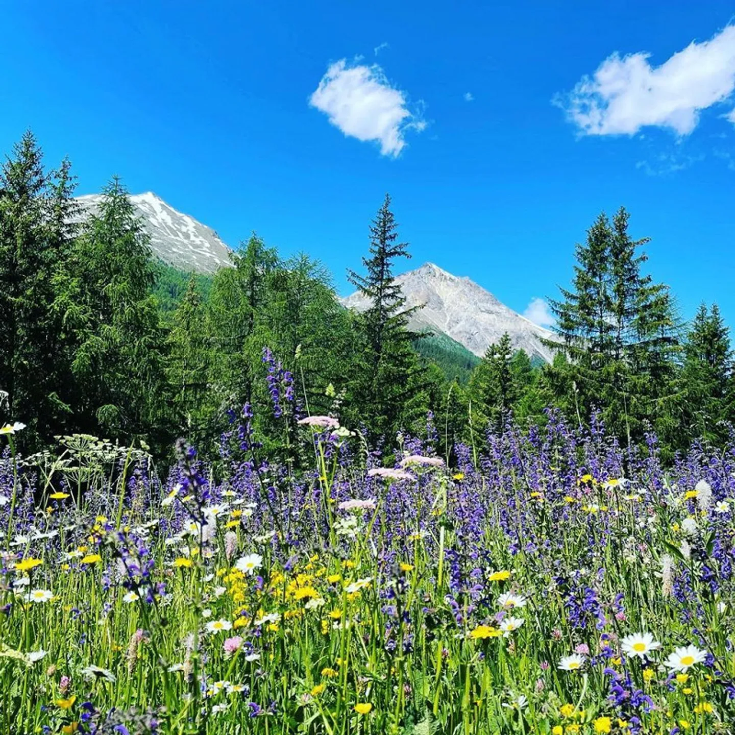 "Chasa al Battaporta, luxuriöses alpines Refugium der Extraklasse" - Photo 4 of 13