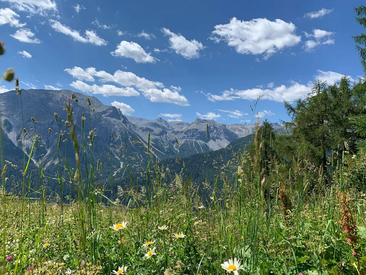 "Chasa al Battaporta, luxuriöses alpines Refugium der Extraklasse" - Photo 5 of 13