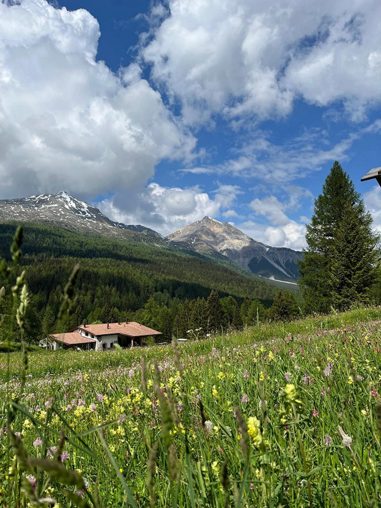 "Chasa al Battaporta, luxuriöses alpines Refugium der Extraklasse" - Photo 6 of 13