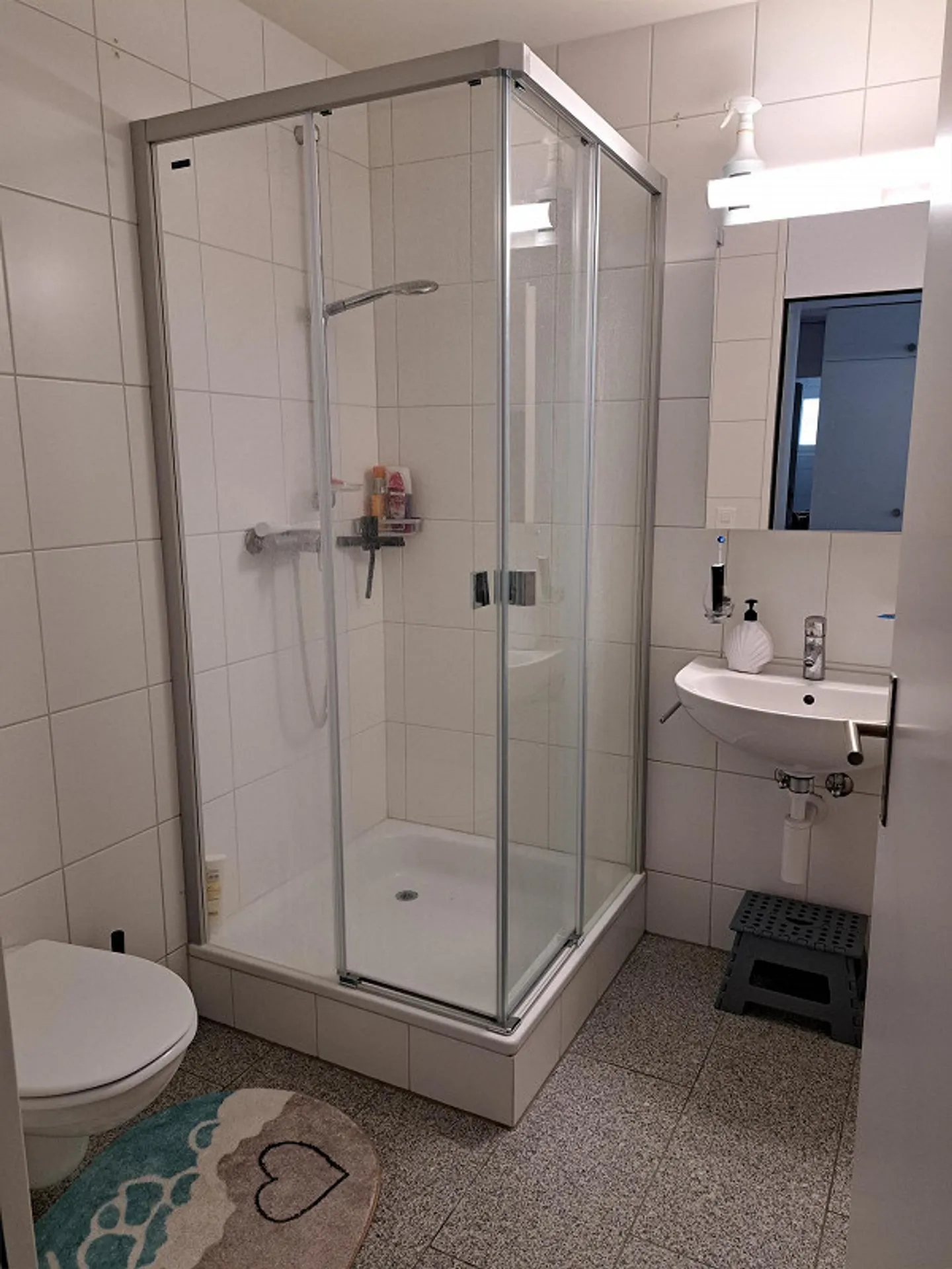 Ampio appartamento di 5,5 locali in affitto a Igis! - Foto 5 di 9