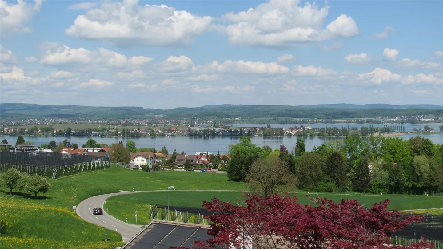 5.5-Z-EFH incluso studio separato, accogliente, vista lago non ostacolata, soleggiato - Foto 1 di 25