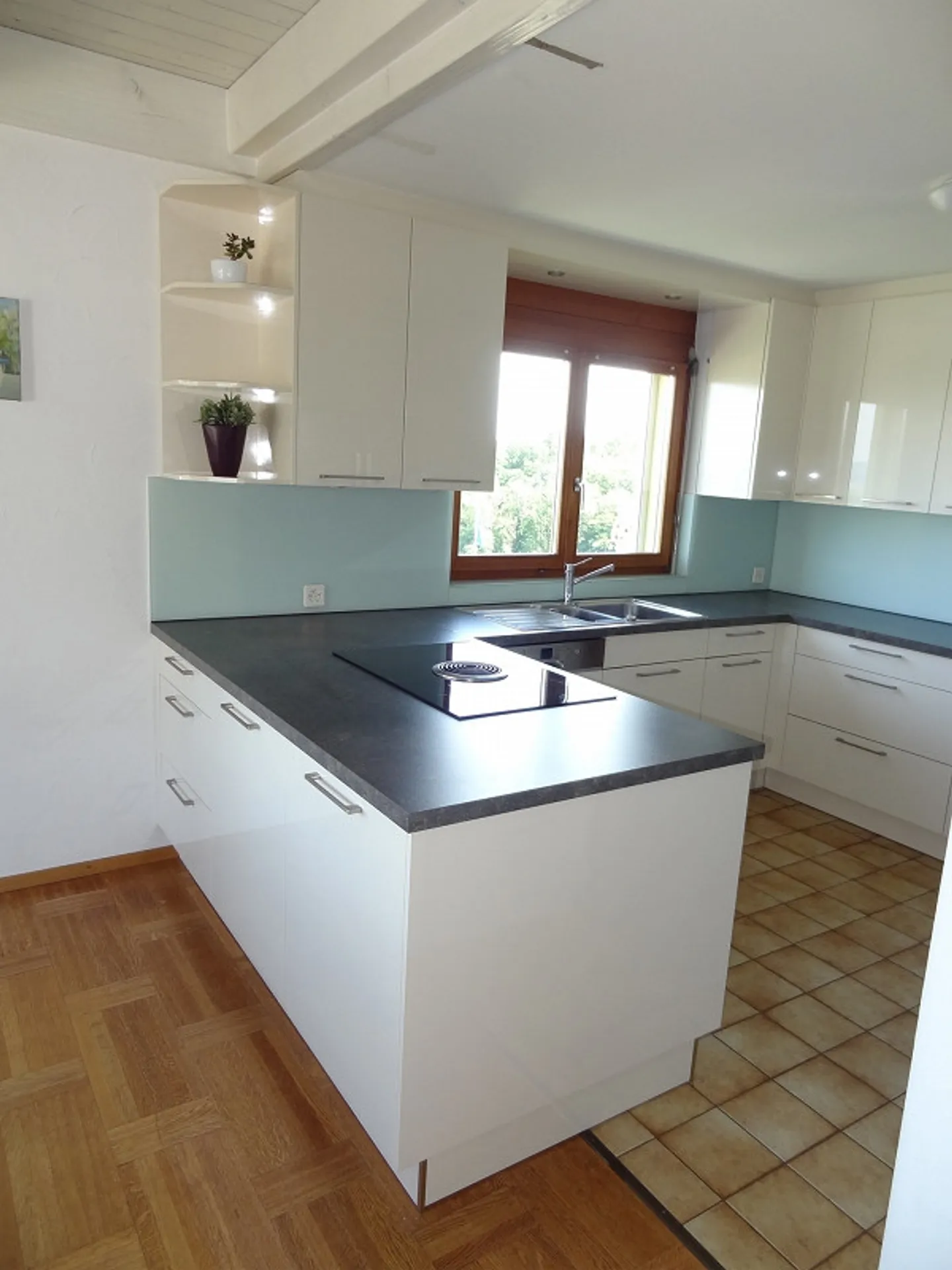 5.5-Z-EFH incluso studio separato, accogliente, vista lago non ostacolata, soleggiato - Foto 2 di 25