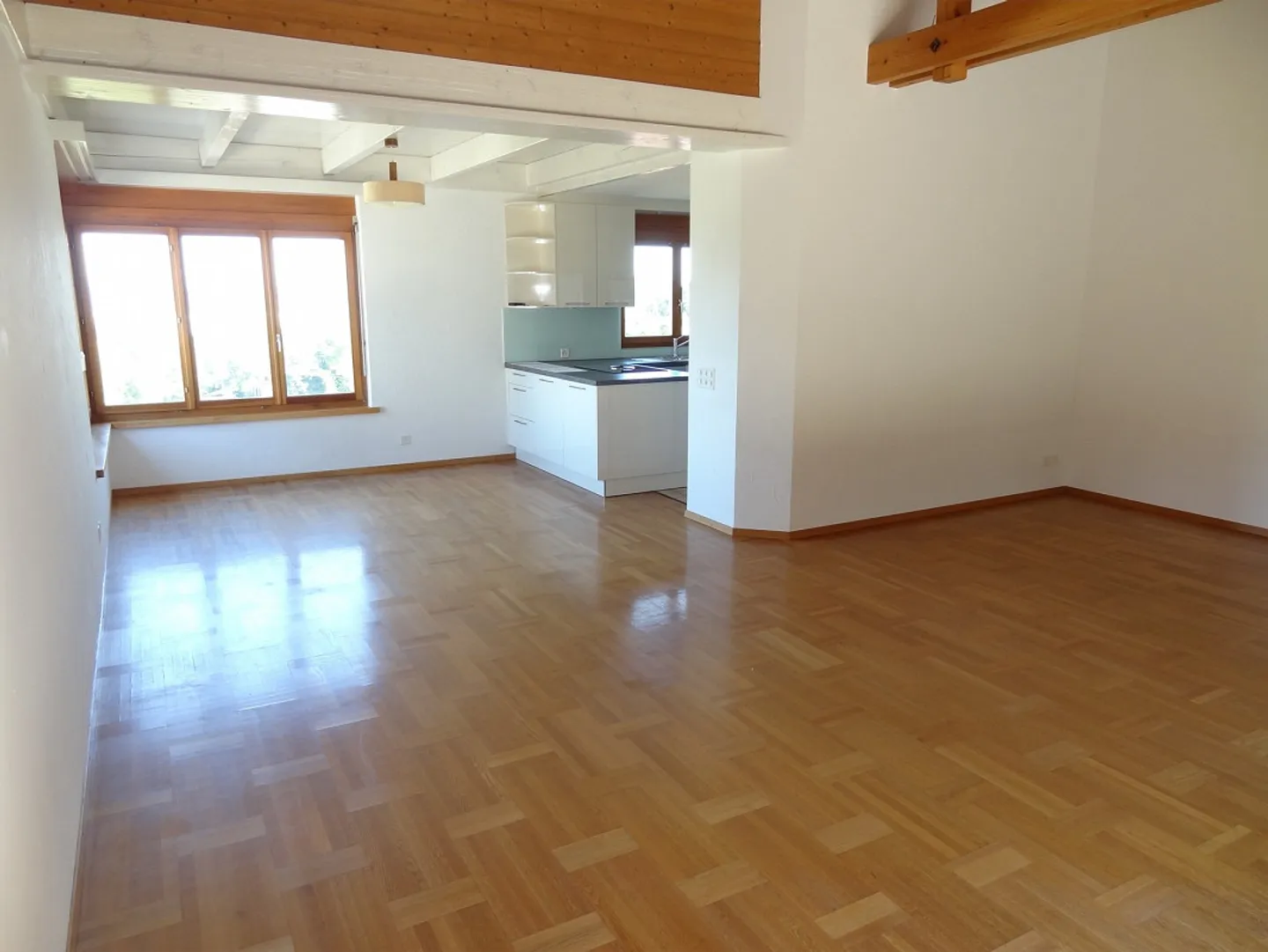 5.5-Z-EFH incluso studio separato, accogliente, vista lago non ostacolata, soleggiato - Foto 9 di 25