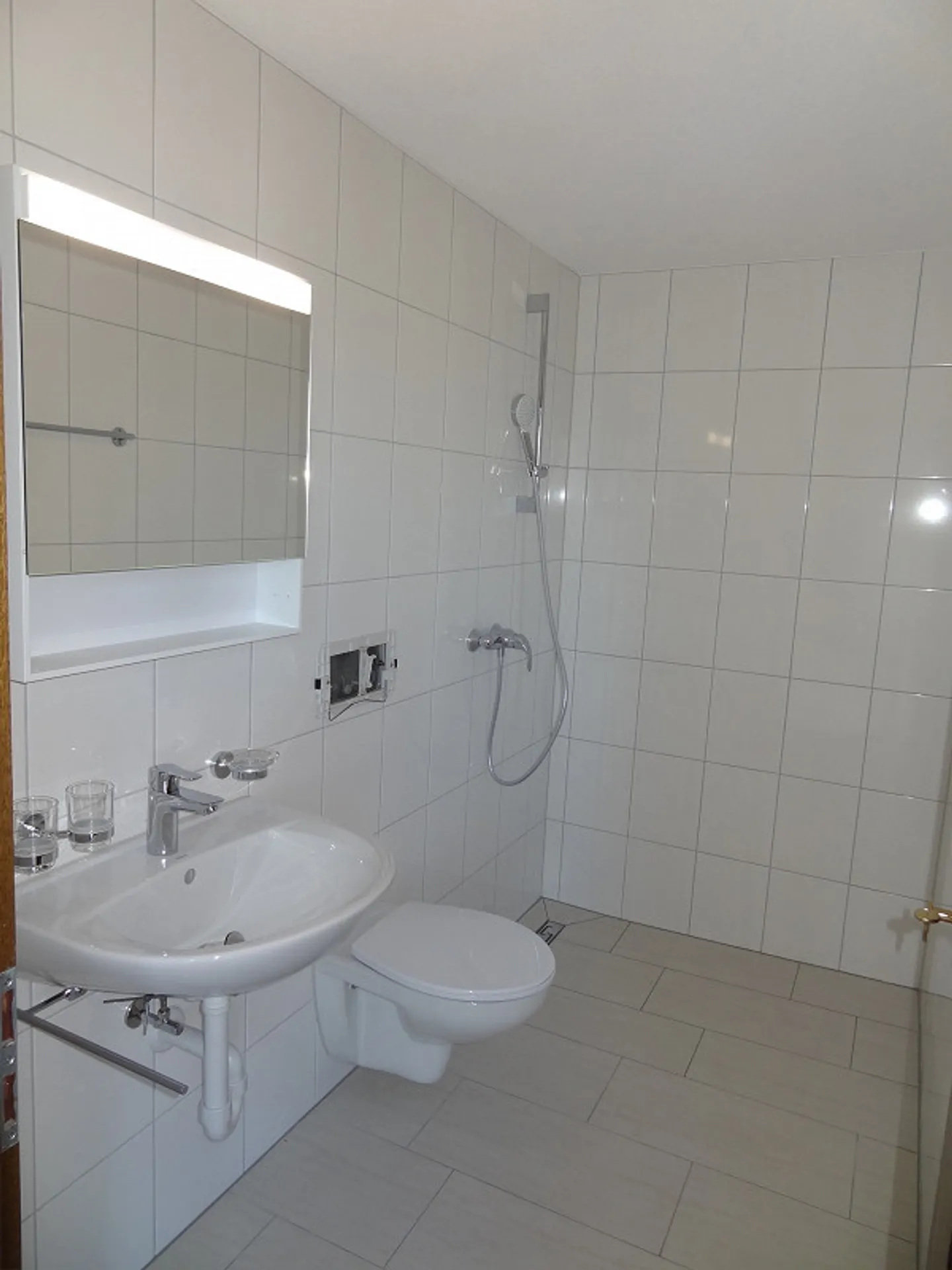 5.5-Z-EFH incluso studio separato, accogliente, vista lago non ostacolata, soleggiato - Foto 21 di 25