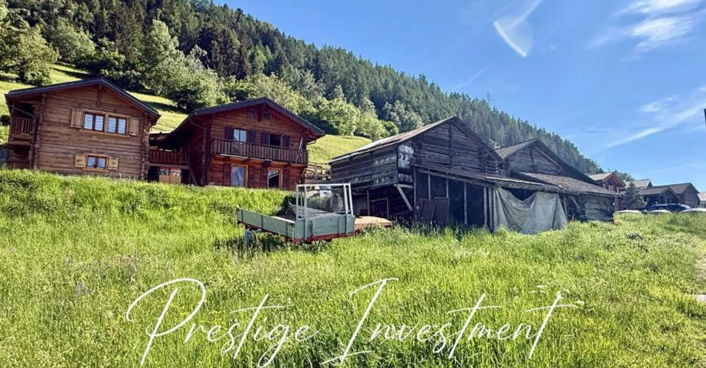 LAND WITH BARN STABLE TO RENOVATE NENDAZ - Photo 1 of 9