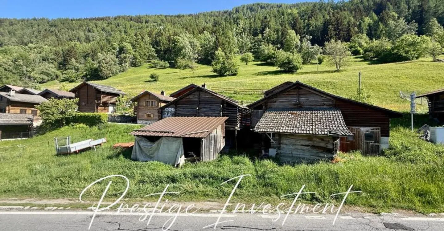 LAND WITH BARN STABLE TO RENOVATE NENDAZ - Photo 3 of 9