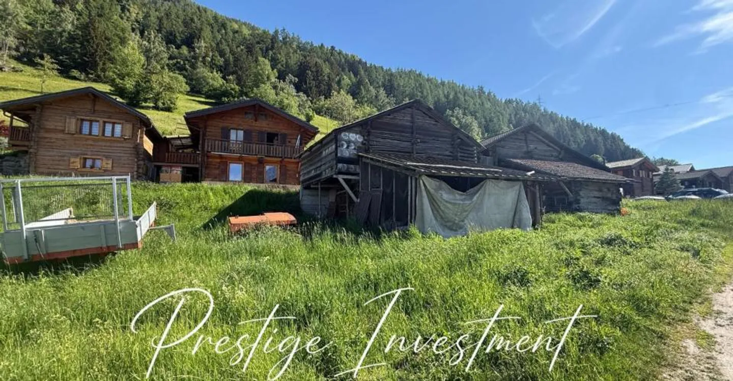 LAND WITH BARN STABLE TO RENOVATE NENDAZ - Photo 8 of 9