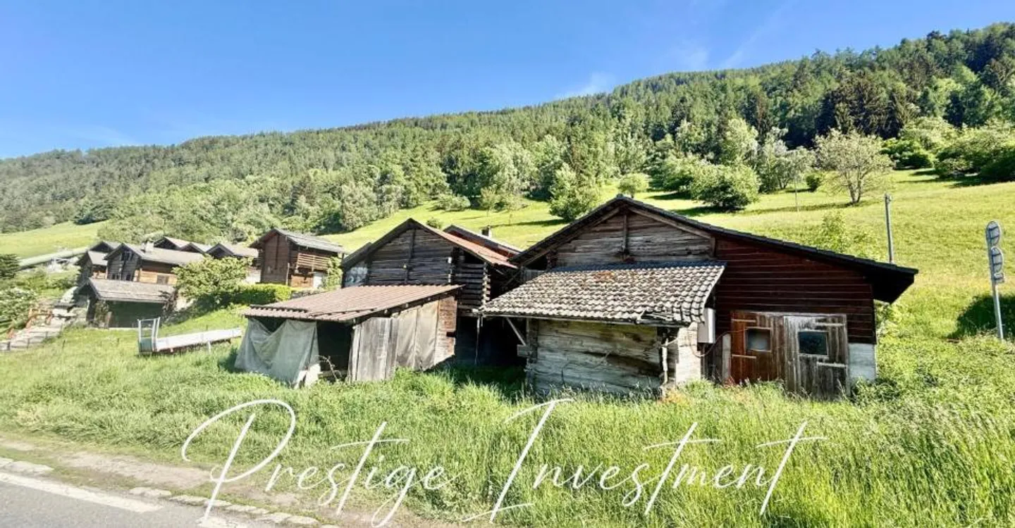 LAND WITH BARN STABLE TO RENOVATE NENDAZ - Photo 9 of 9