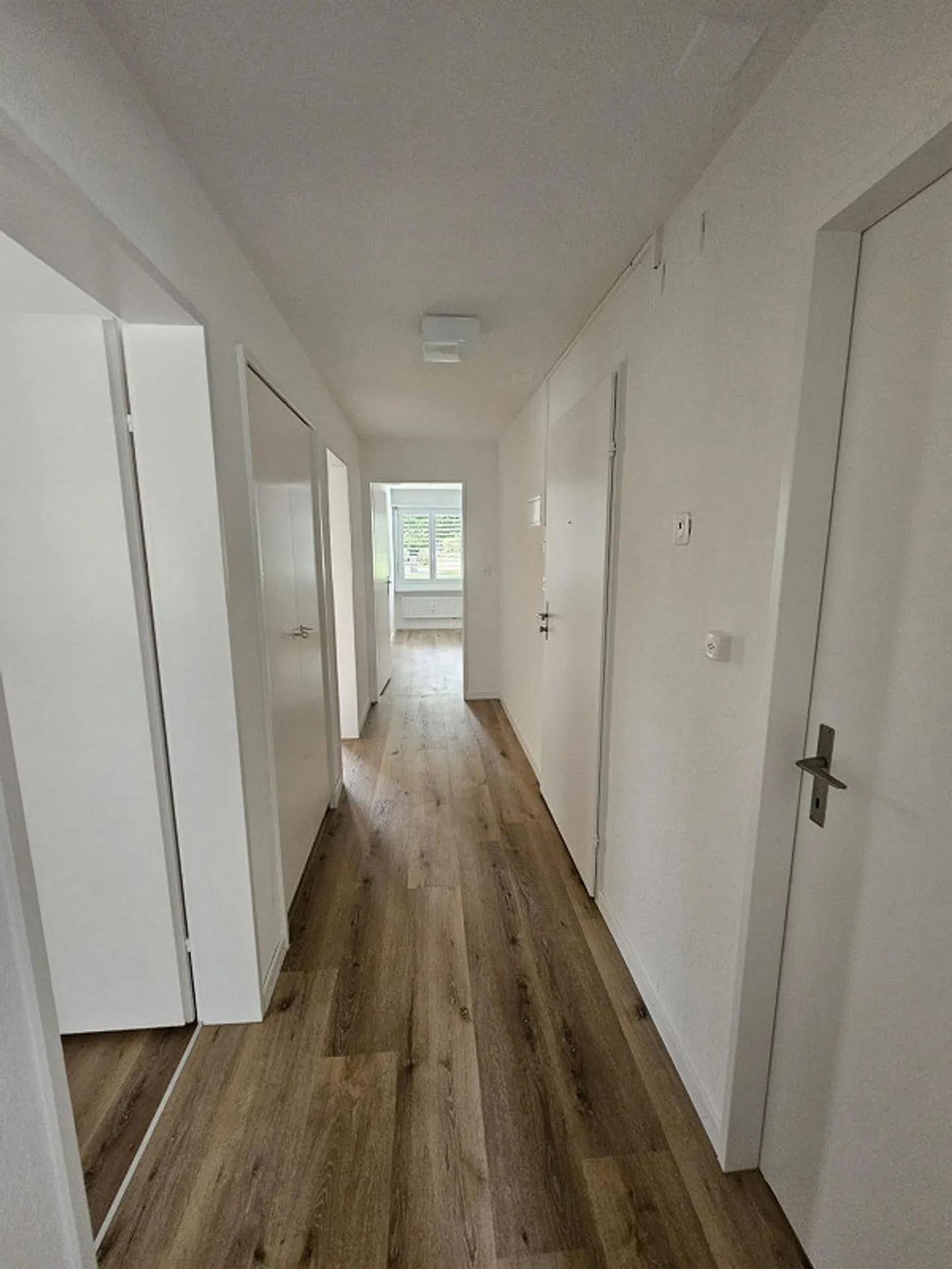 Appartamento 3 locali accogliente con balcone - Foto 1 di 8