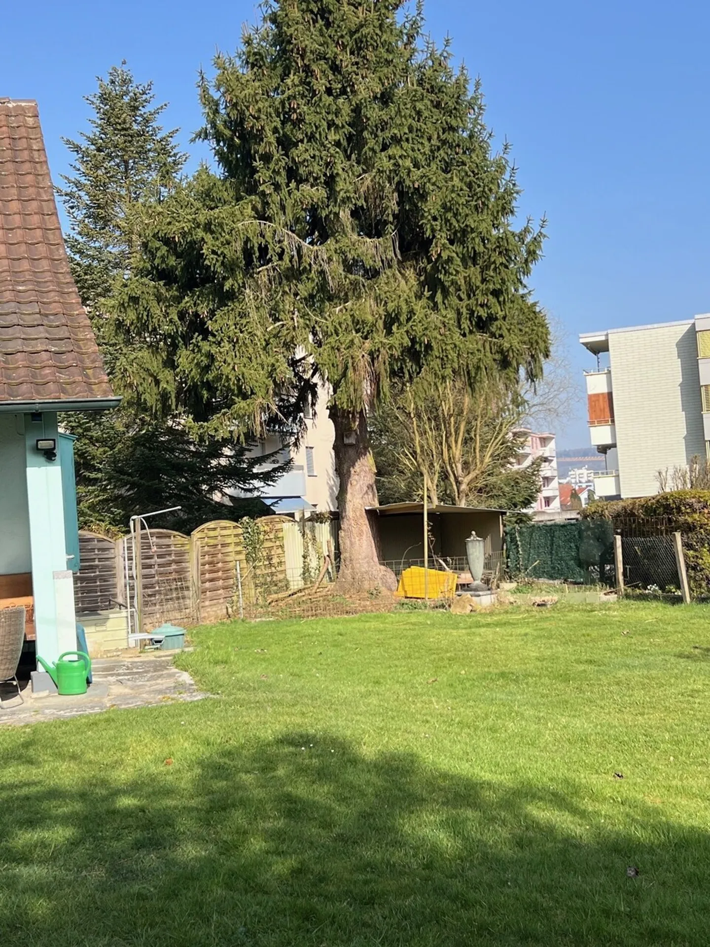 Property with Potential - Photo 3 of 4