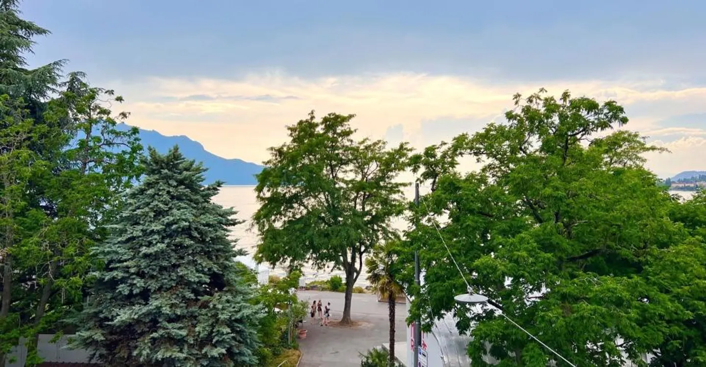 Appartement moderne avec vue lac - Photo 8 sur 11