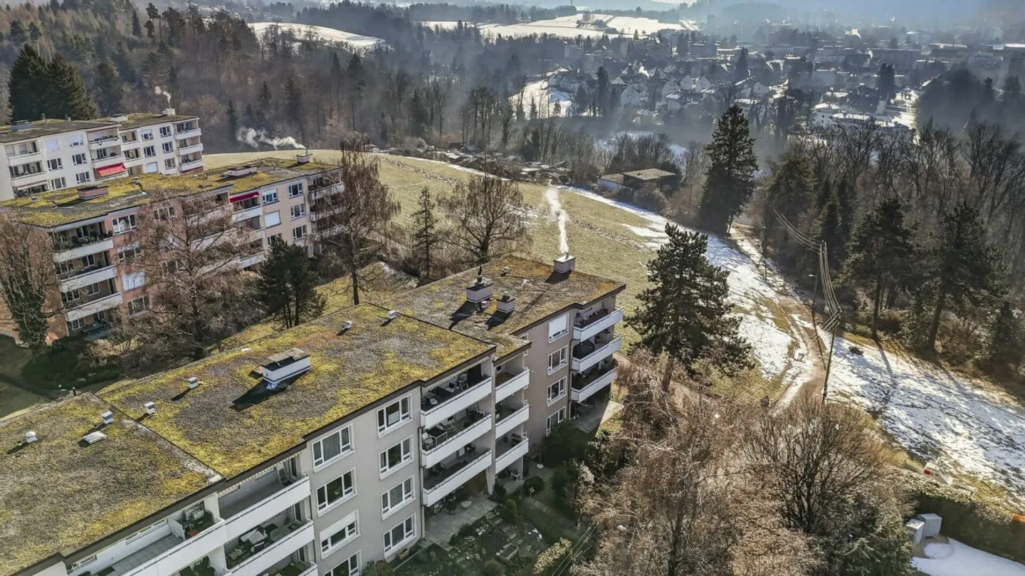 Charming Apartment in Witikon - Photo 17 of 19