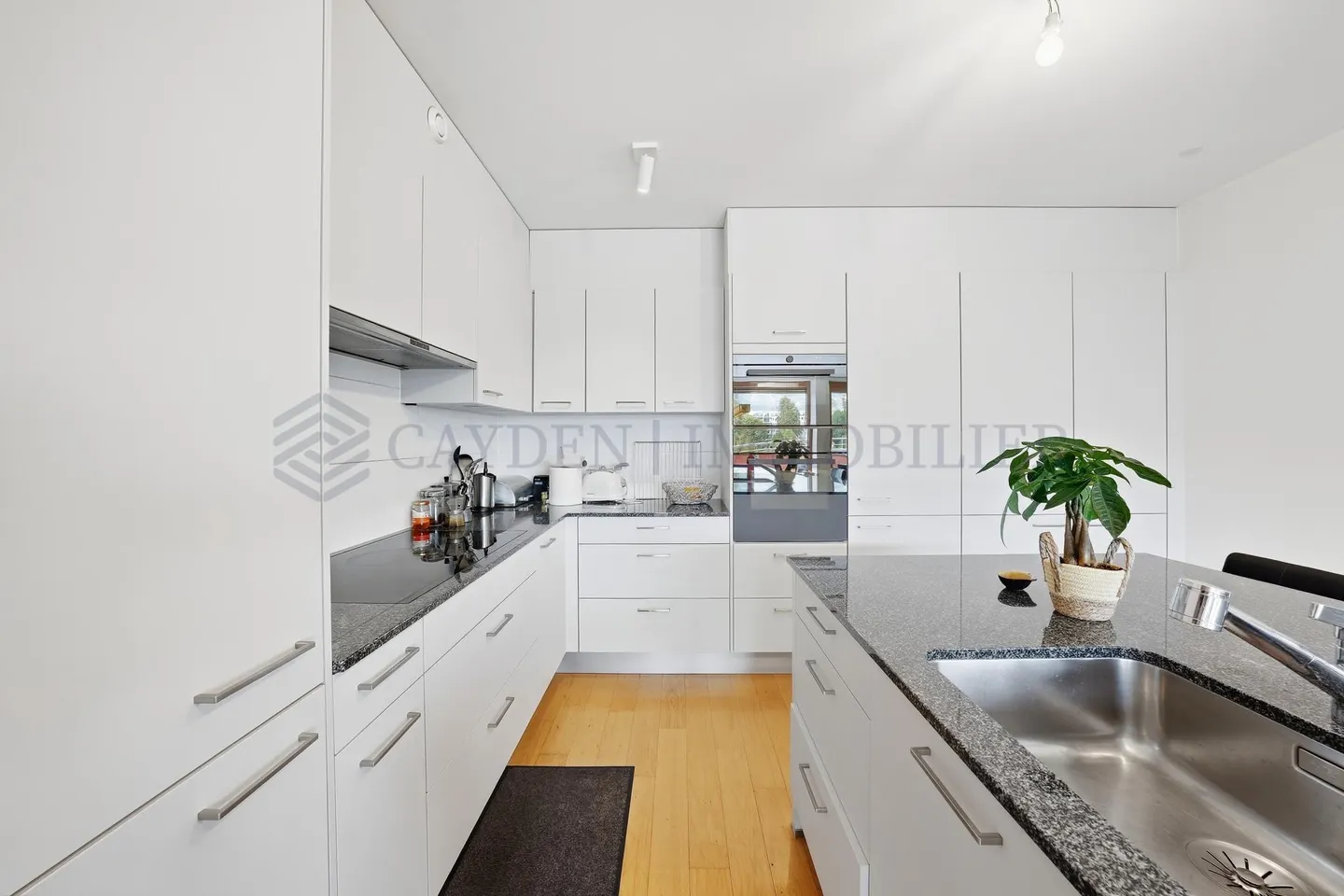 Duplex Attic with Terrace - Photo 4 of 10