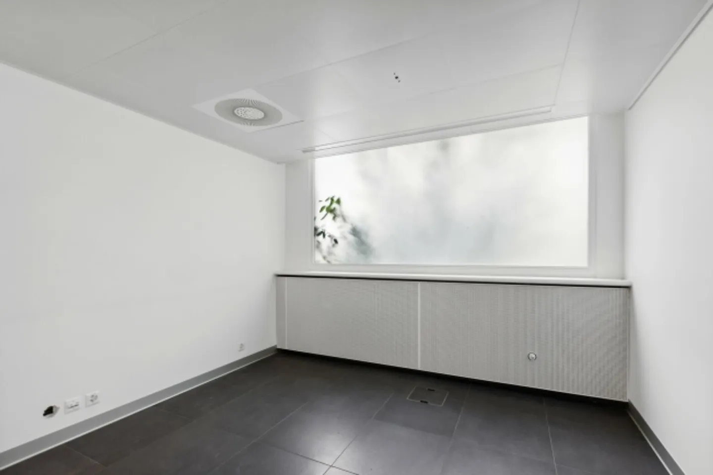 Gewerbe-/Bürofläche - Exzellente Lage - Region Neuenburg - Foto 11 von 13