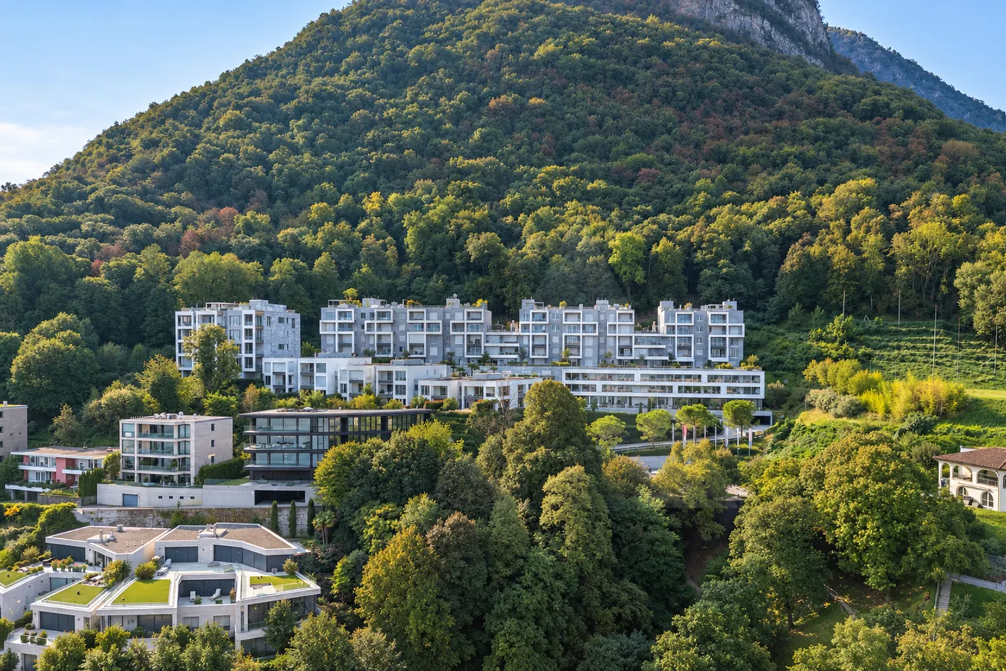 Elegant Apartment in Paradiso - Photo 2 of 19