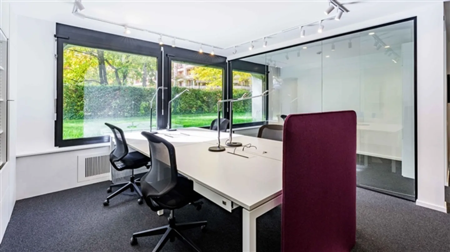 PRESTIGIOUS OFFICE FOR SALE – PETIT-SACONNEX, GENEVA - Photo 3 of 6