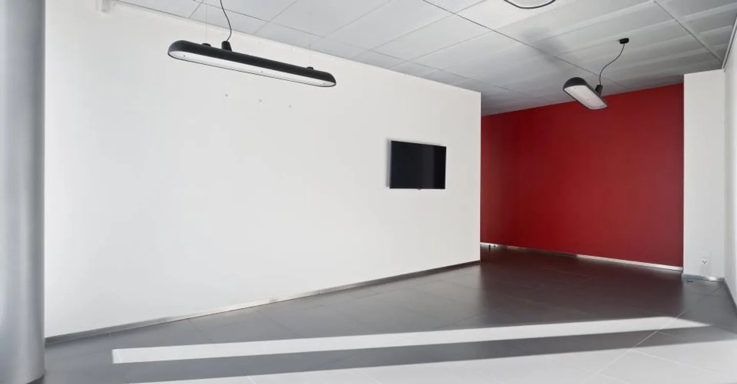 Modern Office with Terrace in Carouge - Photo 7 of 13