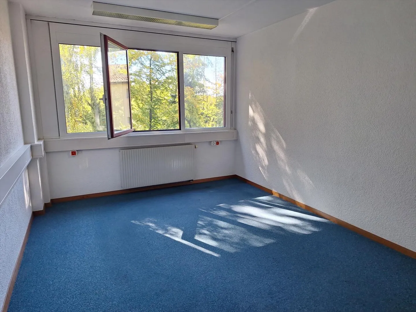 Büro - Foto 2 von 8