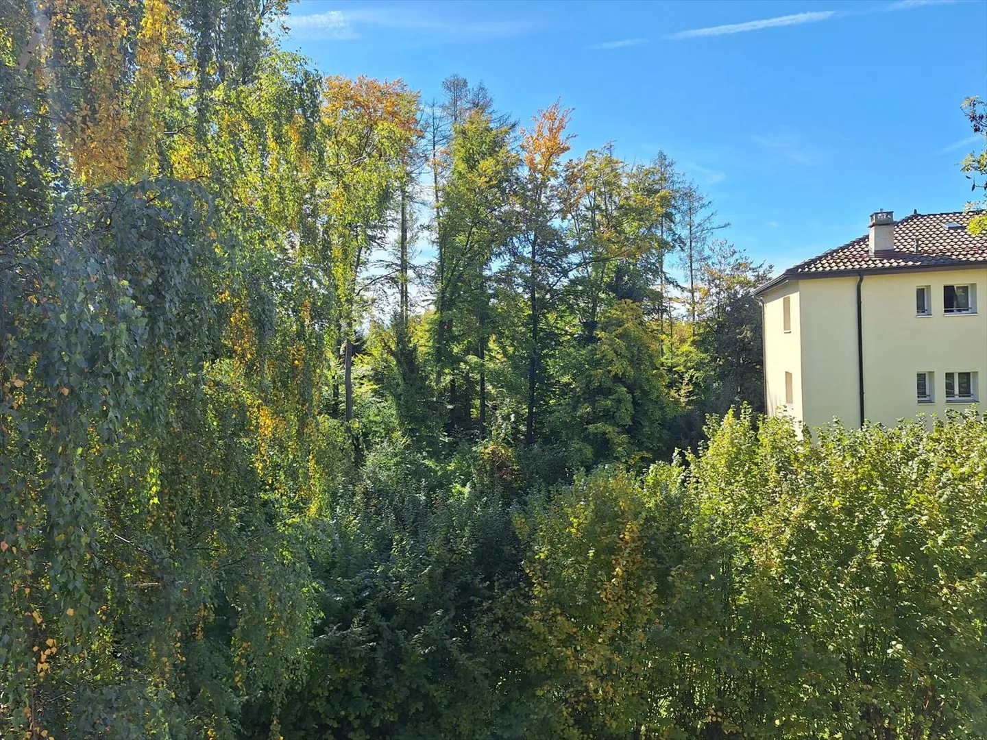 Büro - Foto 6 von 8