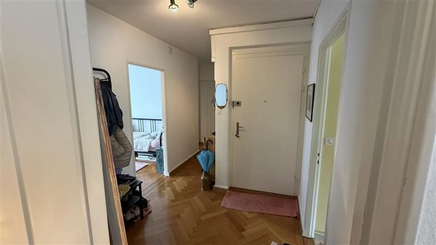 Charmante Wohnung in Zürich - Foto 3 von 11
