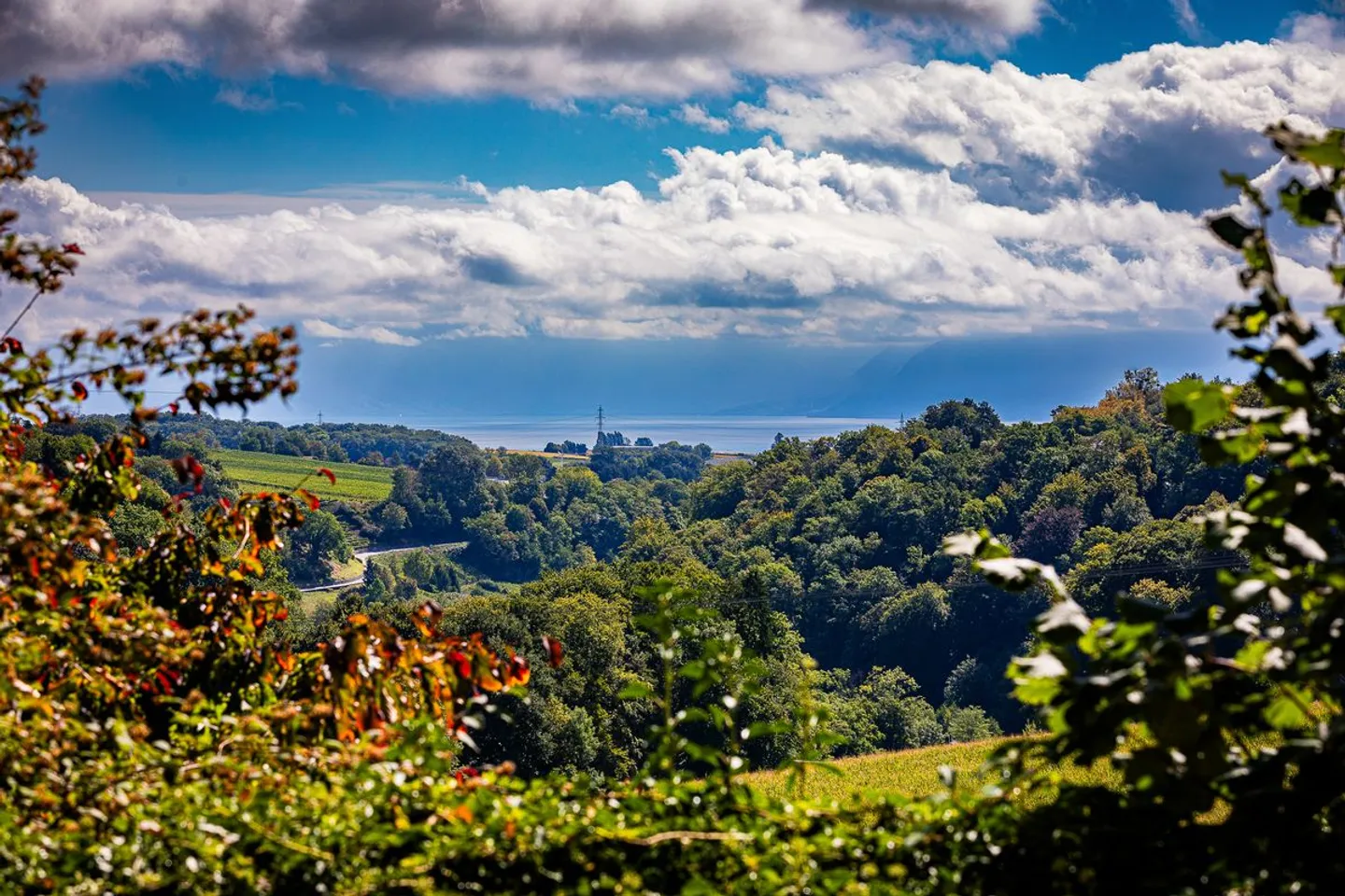 Elegance & Nature: Charming Family Villa in the Heart of a Bucolic Setting - Photo 1 of 13