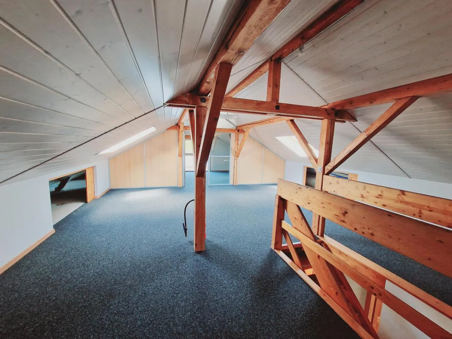 Spazio Commerciale Versatile a Vaulruz - Foto 13 di 15