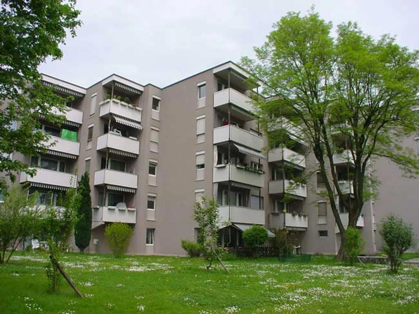 Bel appartement à Zurich Seebach - Photo 1 sur 4