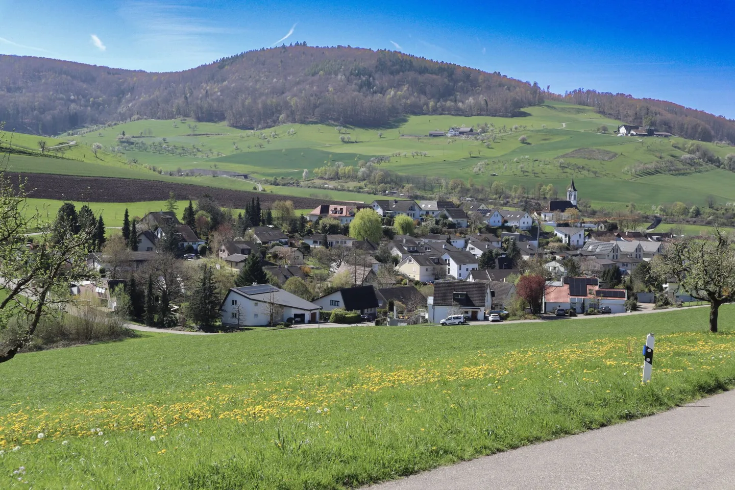 Sonniges Einfamilienhaus in Arisdorf - Foto 3 von 15