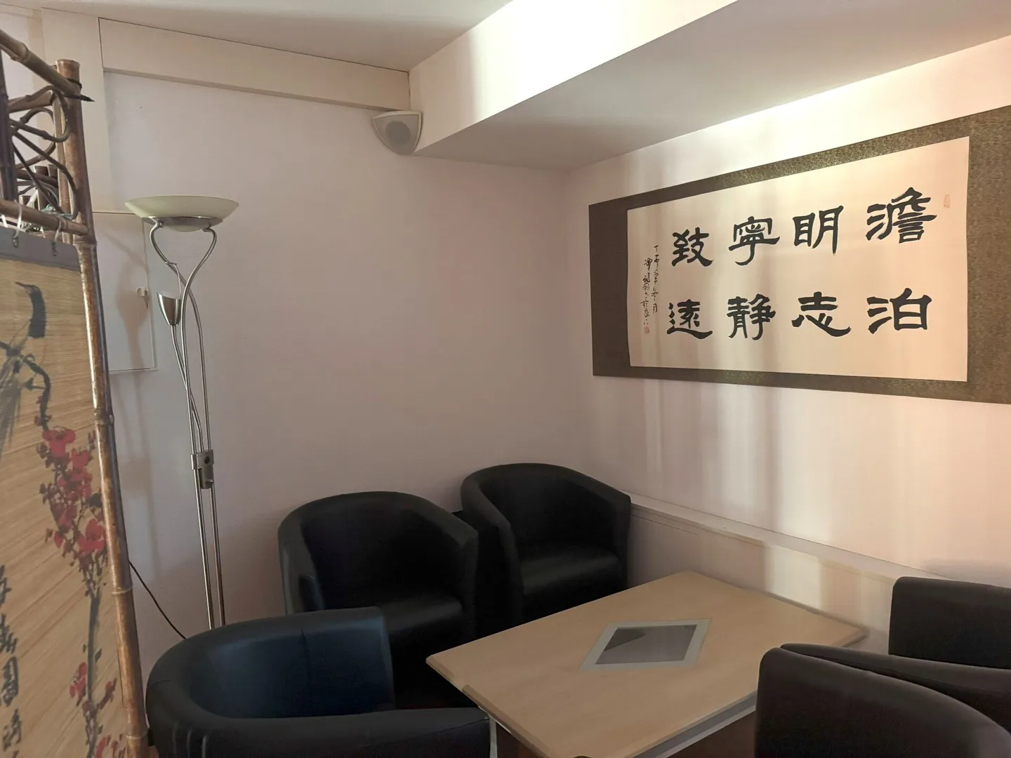 Commercial premises for health practice, architecture office, law firm, etc. - Photo 12 of 20