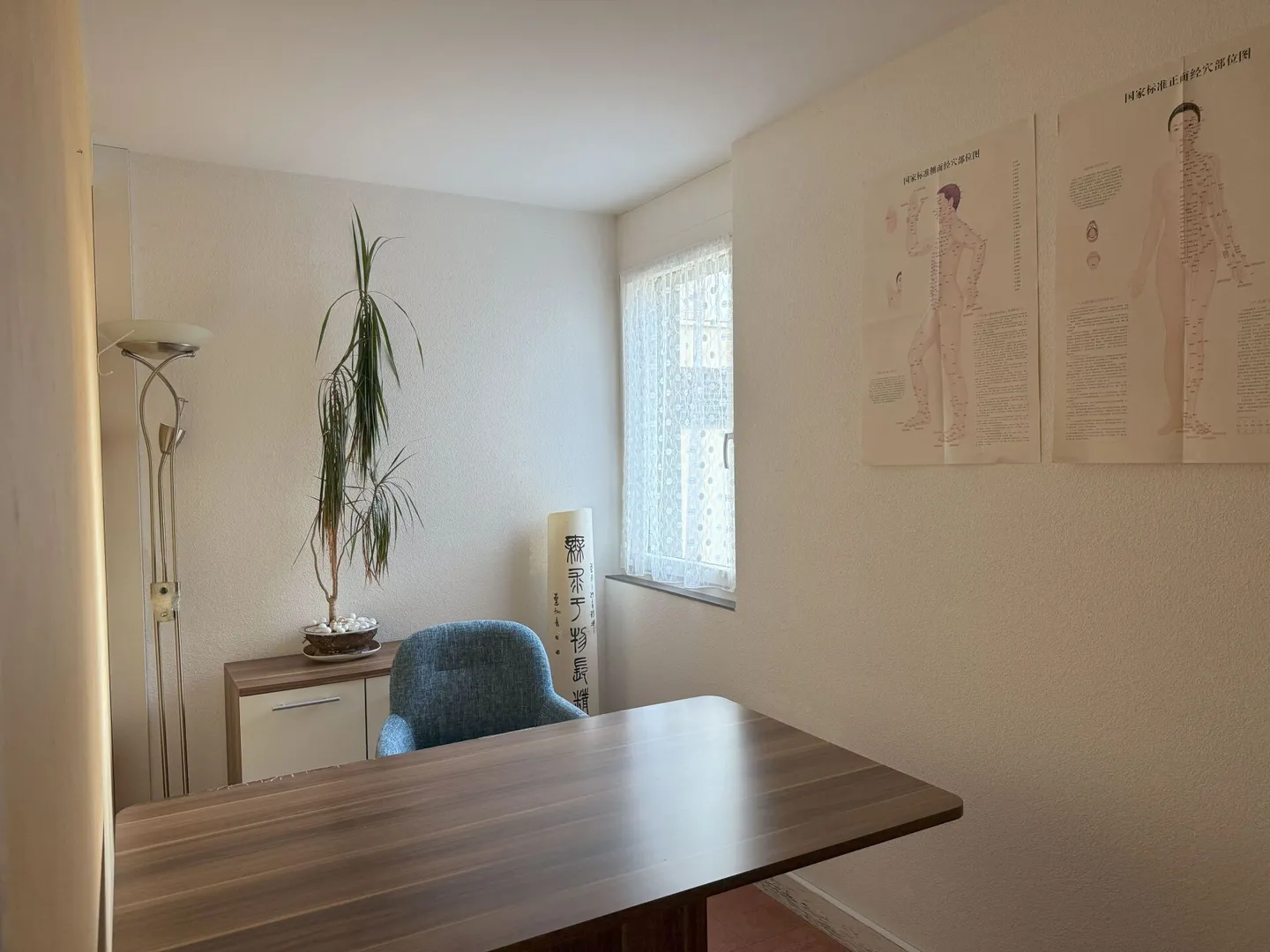 Commercial premises for health practice, architecture office, law firm, etc. - Photo 14 of 20