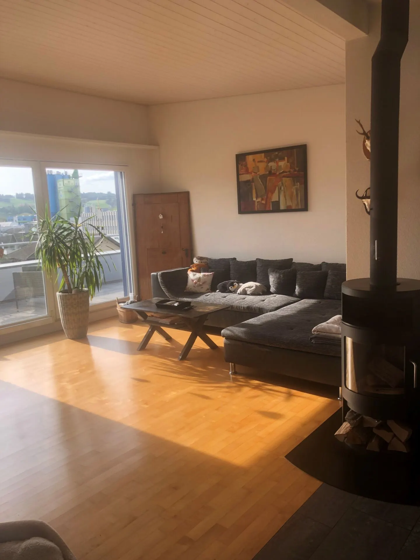 4.5-room penthouse apartment with fireplace and winter garden - Photo 4 of 14