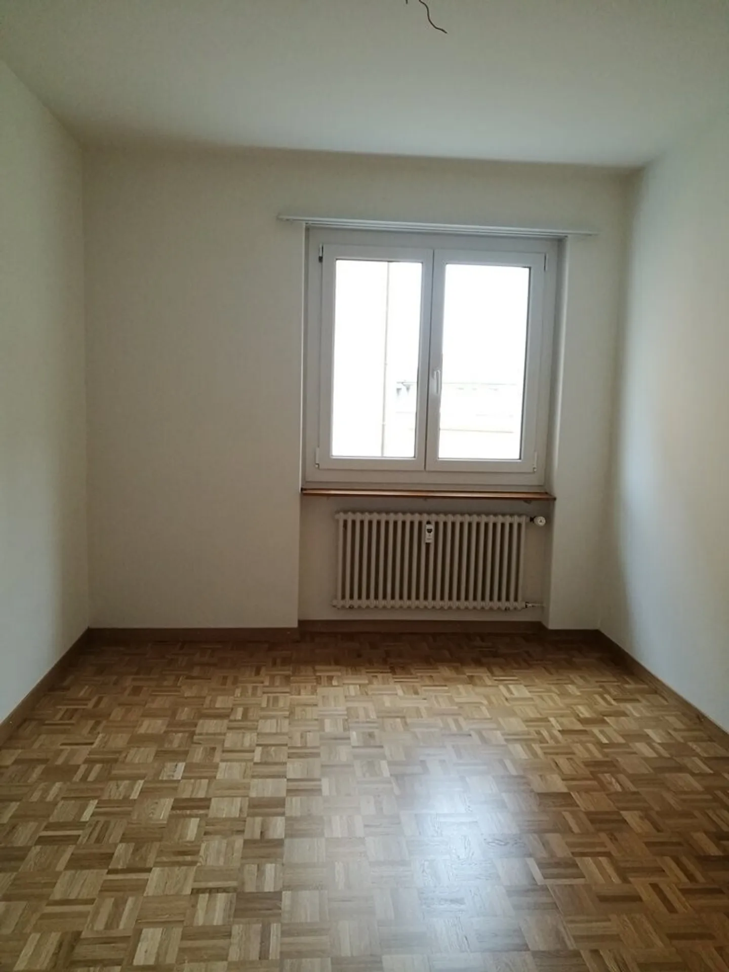 Nel centro della città eppure nel verde - Foto 7 di 8