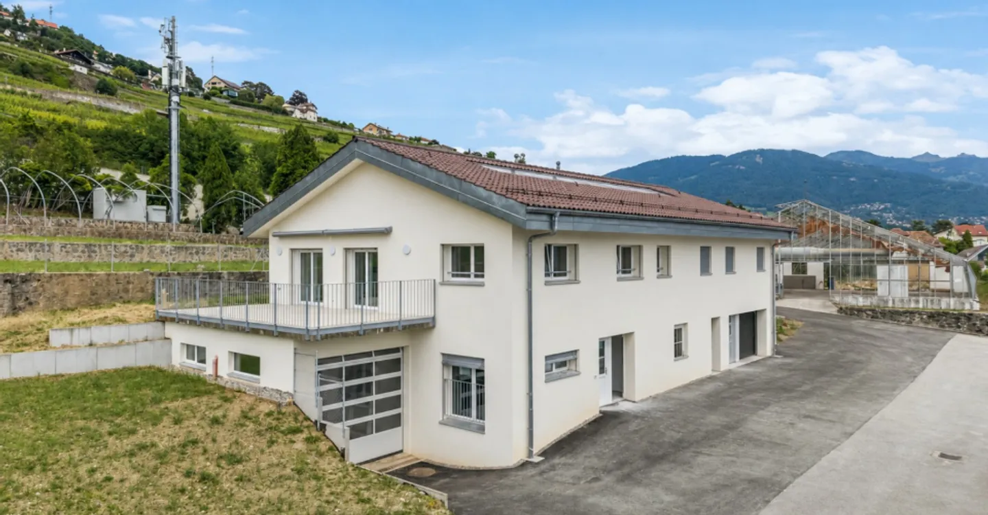 Haus mit 2 vollständig renovierten Wohnungen! - Foto 11 von 11
