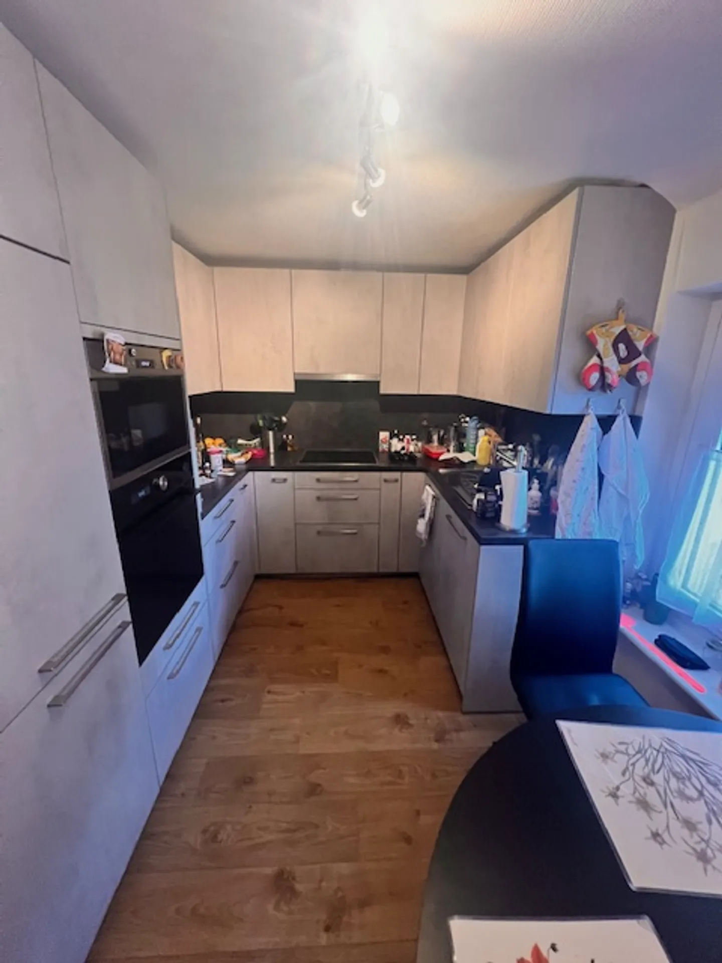 Großes Dorfhaus im Zentrum von Prangins mit 3 unabhängigen Wohnungen - Foto 15 von 37