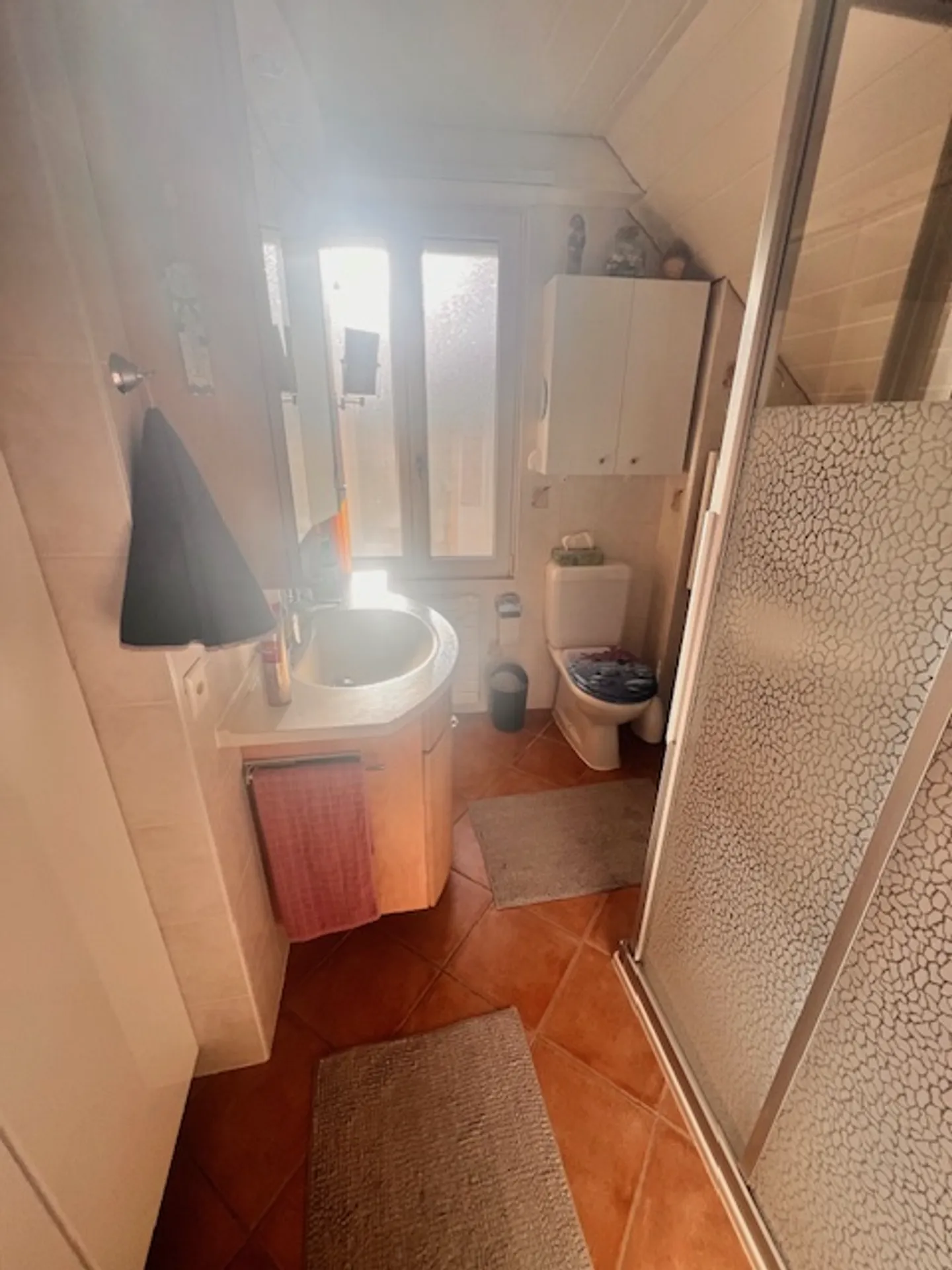 Großes Dorfhaus im Zentrum von Prangins mit 3 unabhängigen Wohnungen - Foto 28 von 37