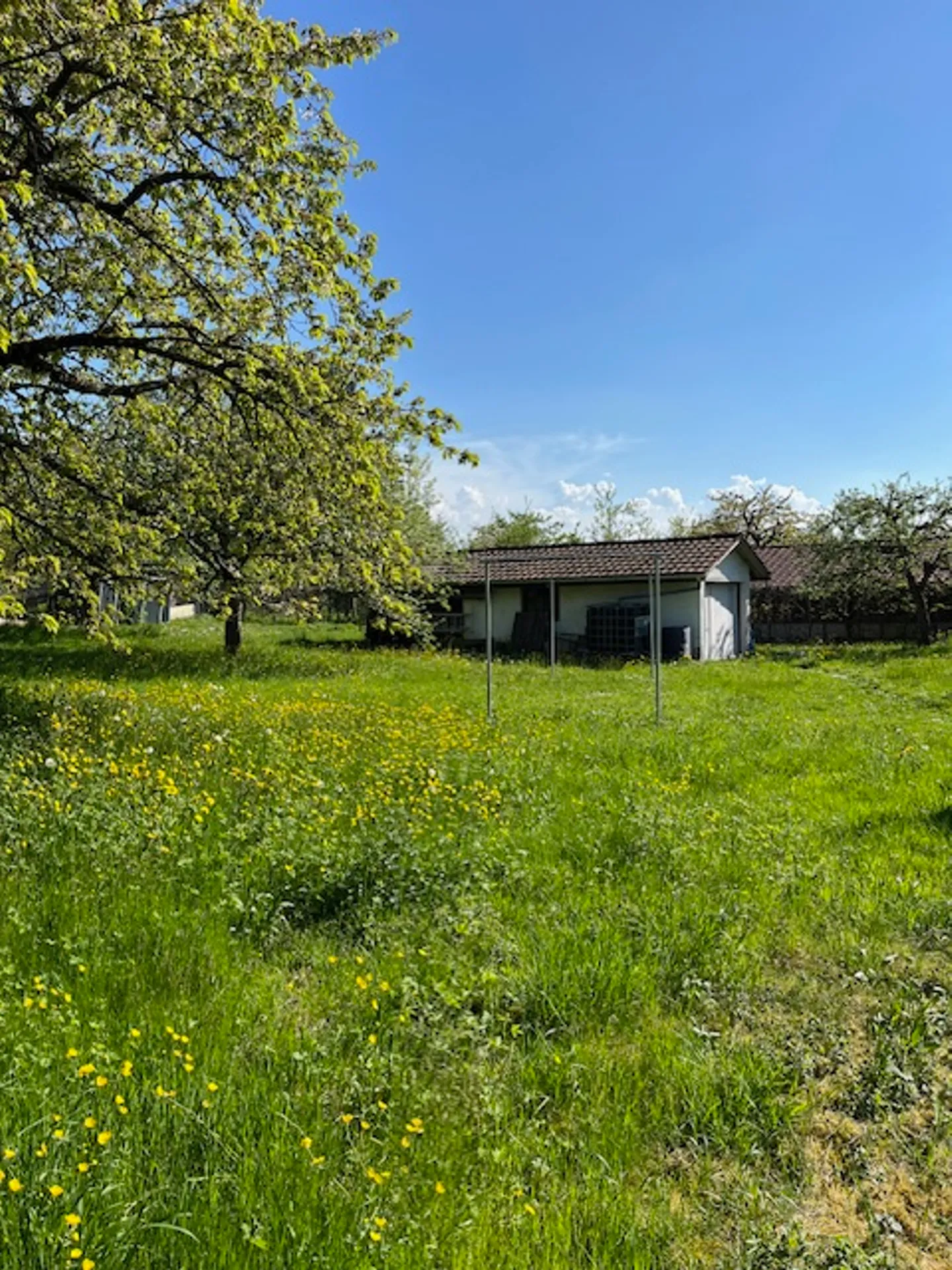 Casa in vendita - Foto 3 di 7