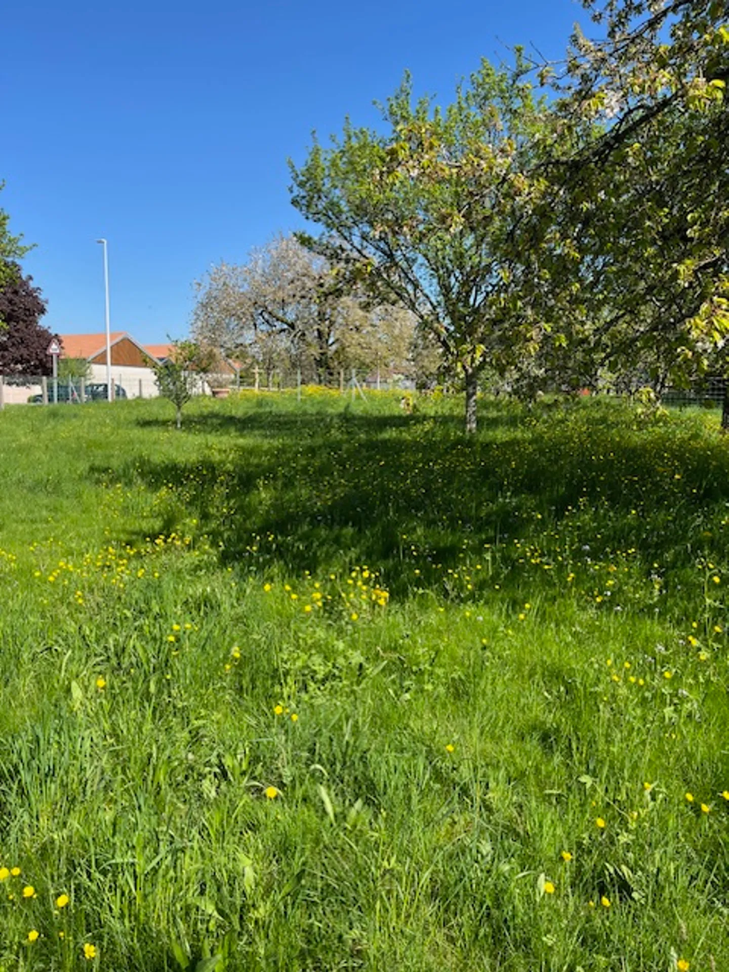 Casa in vendita - Foto 2 di 7