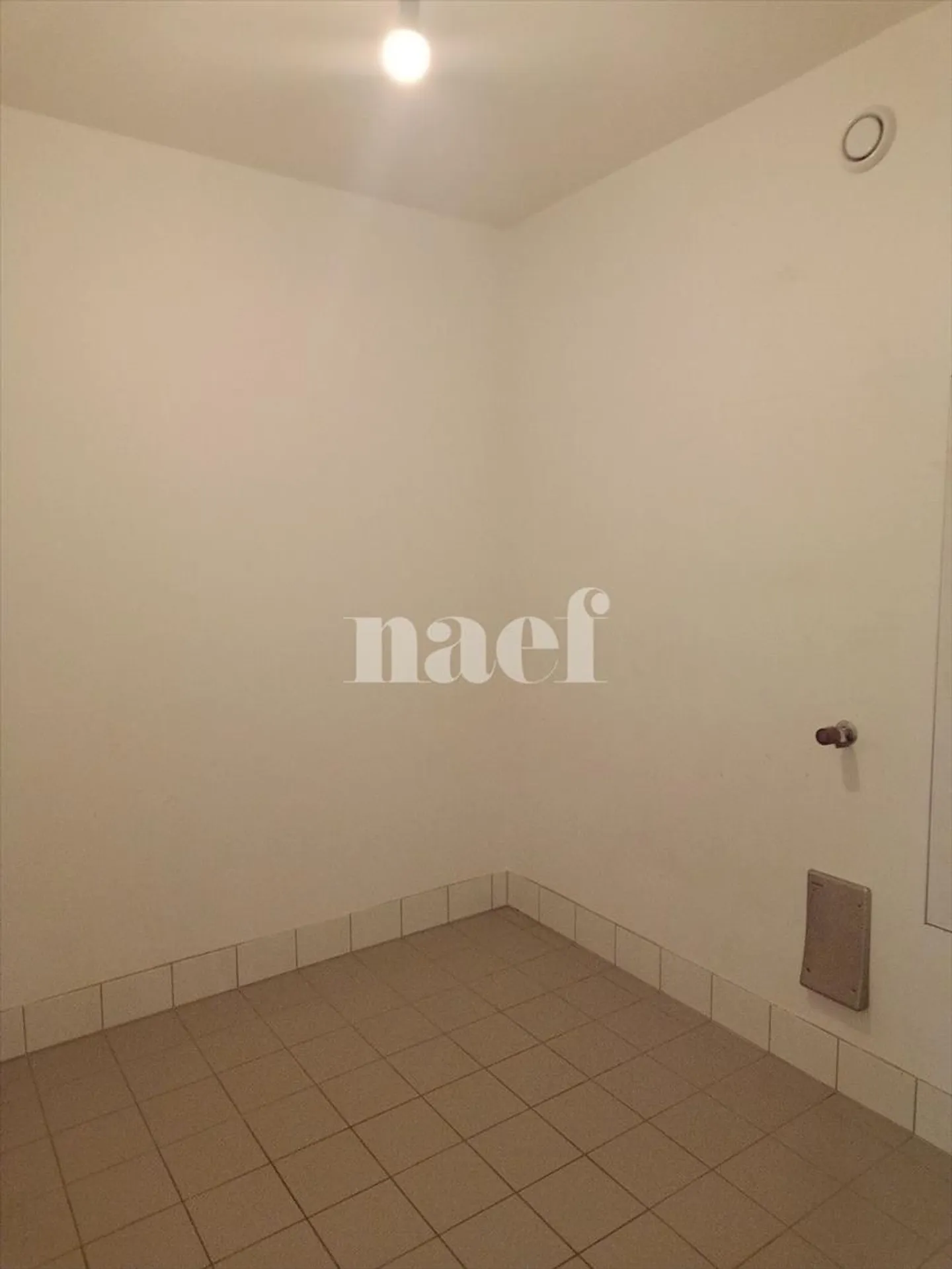 5-Zimmer-Wohnung - Foto 4 von 9