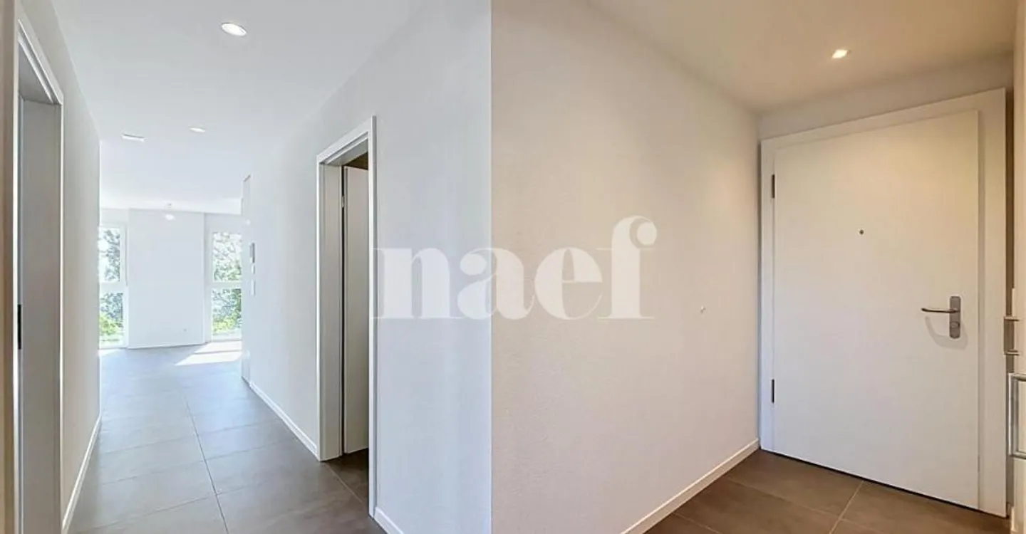 3.5 Room Apartment - Photo 9 of 9