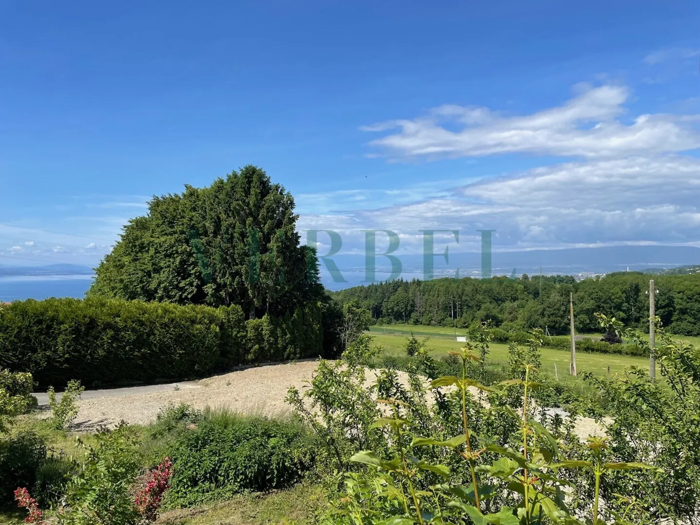 Fattoria con potenziale sulle alture di Grandvaux - Foto 7 di 7