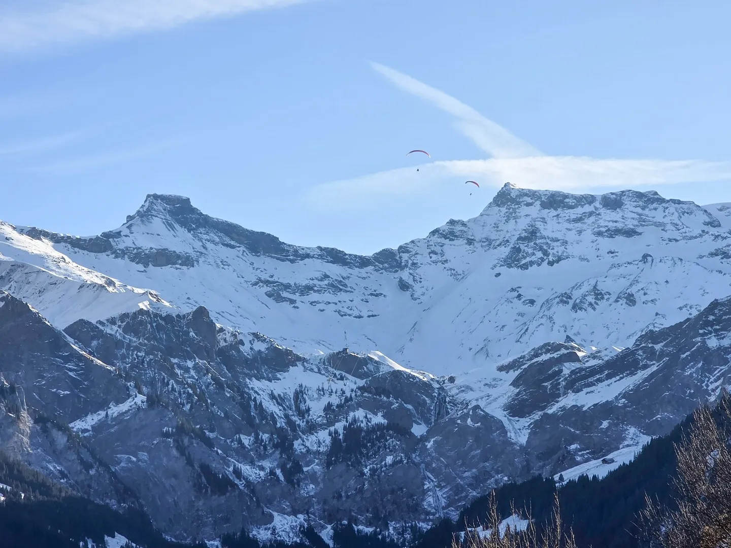 Appartement 4 pièces 1er étage - Photo 3 sur 38