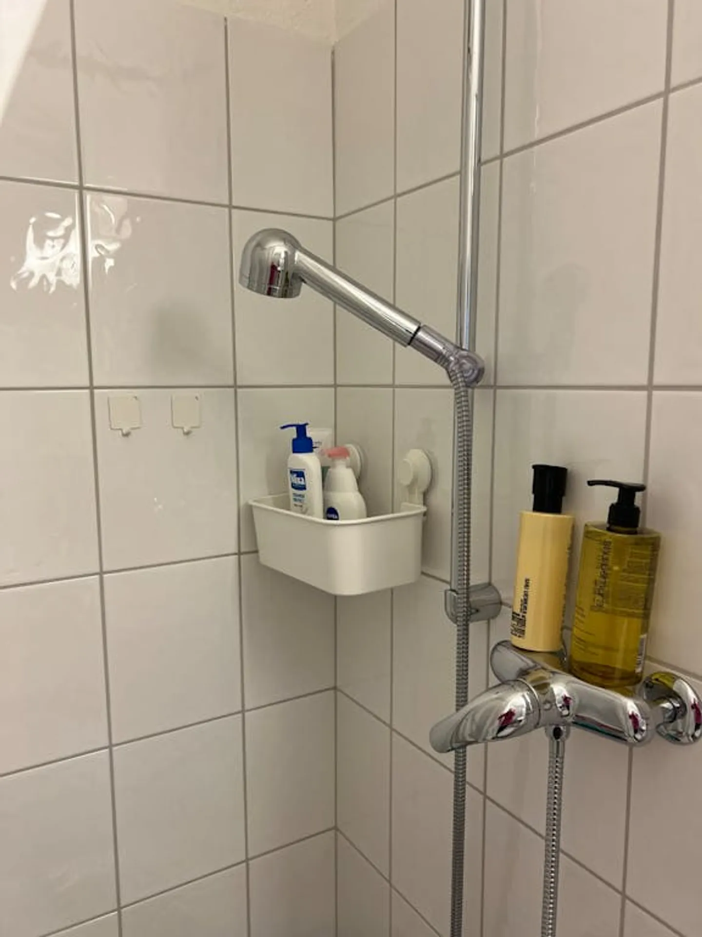 Appartamento in affitto - Foto 7 di 10