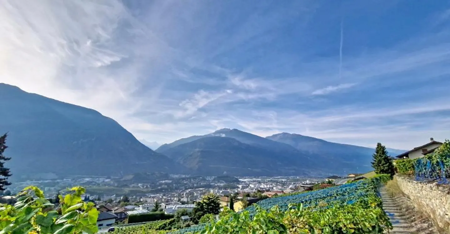Terrain à bâtir avec vue alpine - Photo 3 sur 5