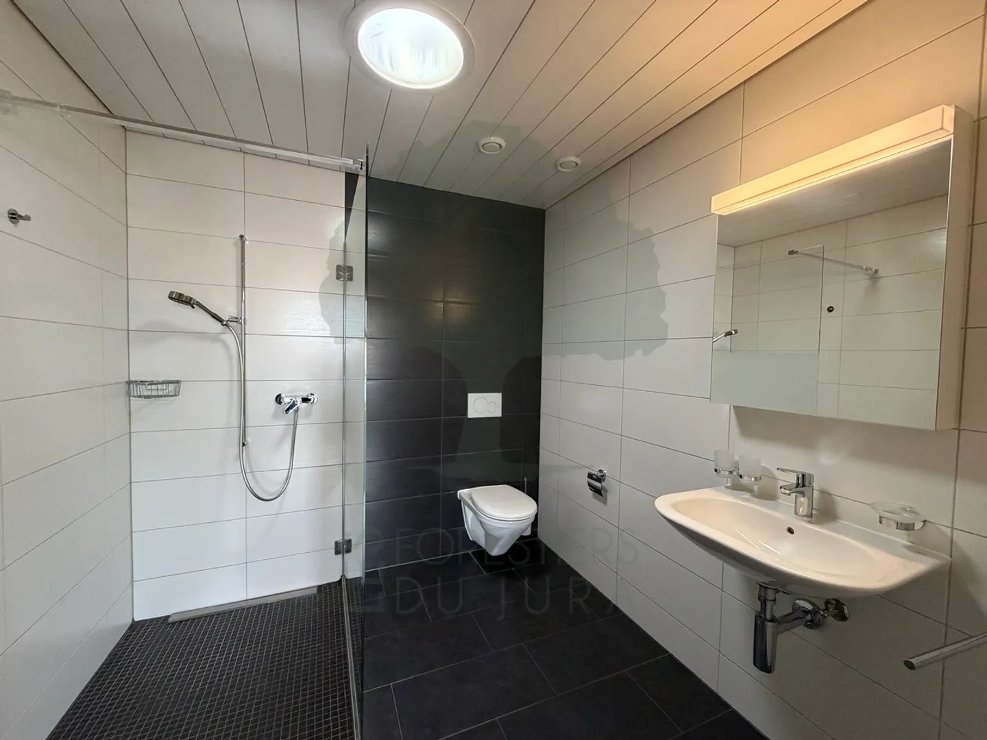 Magnifico appartamento Minergie di 4,5 stanze con terrazza - Foto 9 di 17