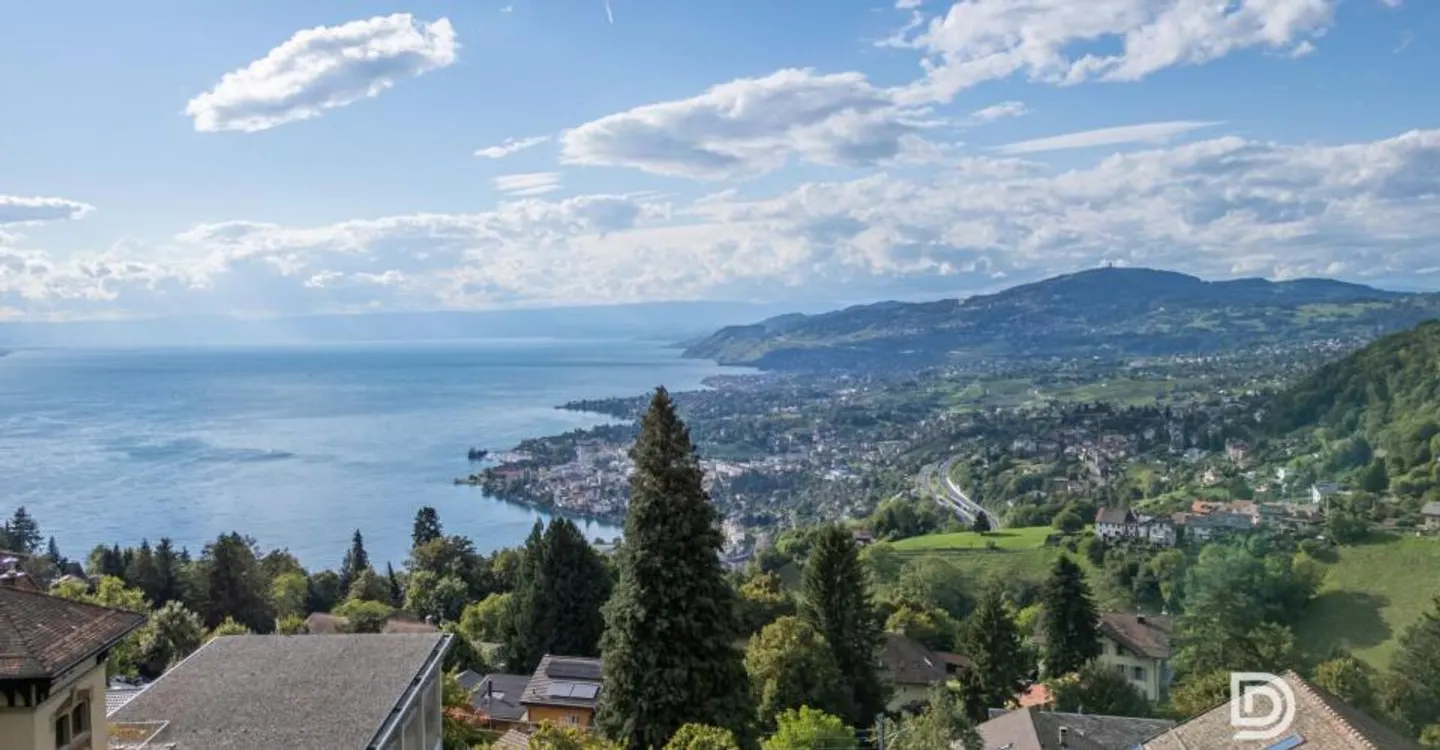 Panoramic view and absolute calm 5 minutes from the center of Montreux - Photo 2 of 12