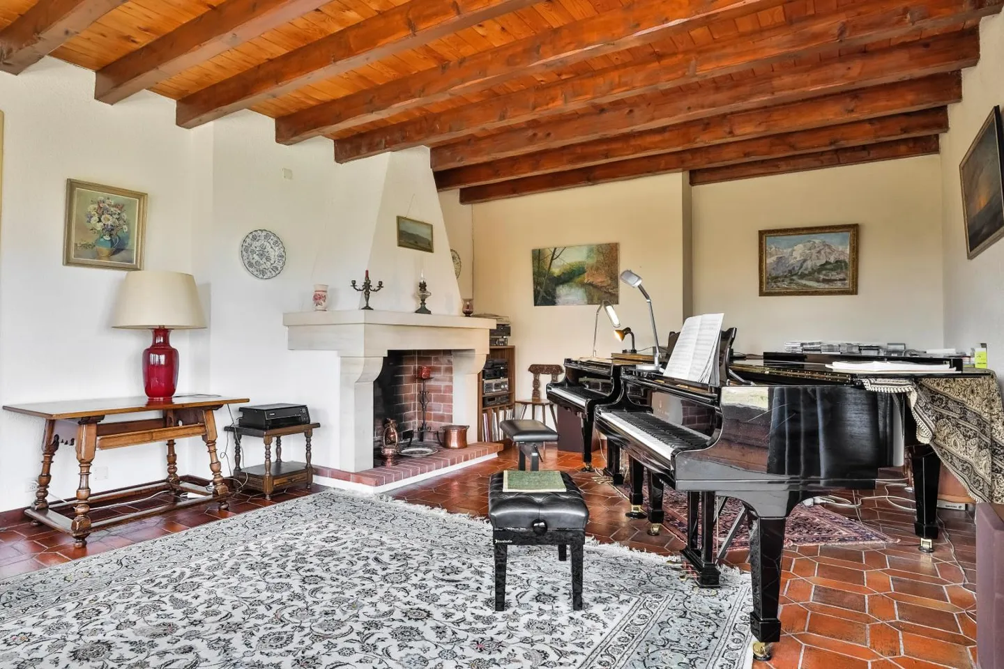 Villa Charmante à Lancy - Photo 6 sur 18