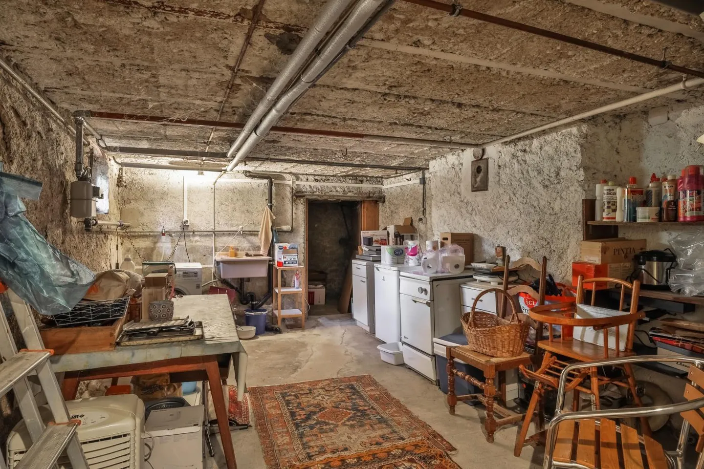 Villa Charmante à Lancy - Photo 18 sur 18