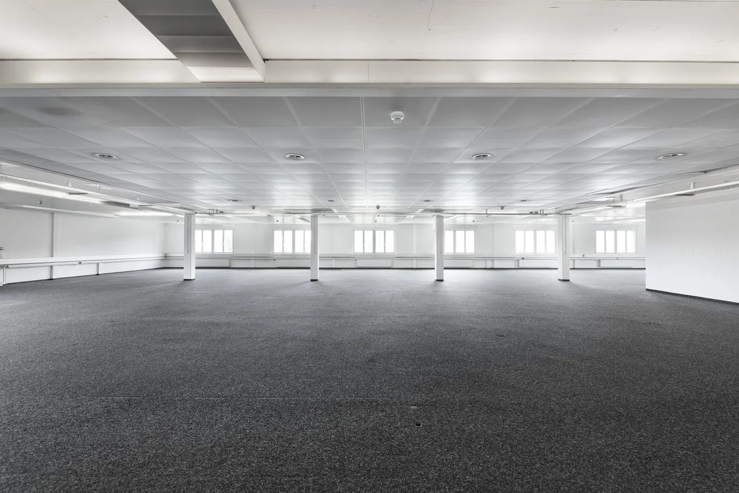 STORIE NASCONO NEL CUBO - Edificio H - Foto 13 di 19