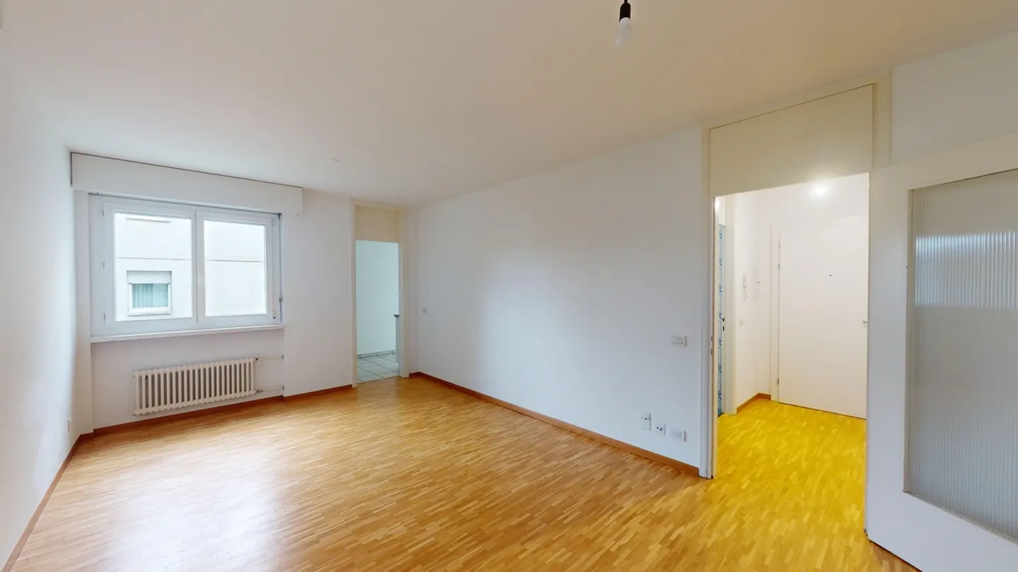 Sunny studio apartment in Paradiso - Photo 1 of 8